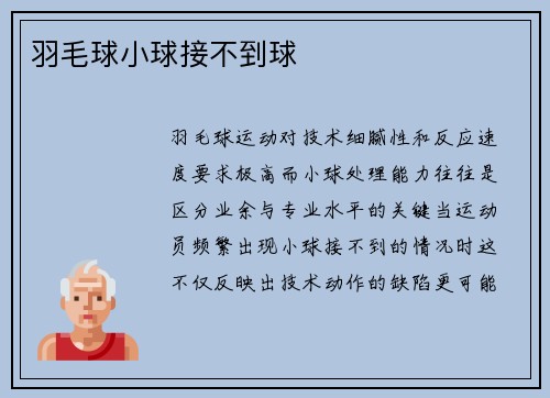 羽毛球小球接不到球