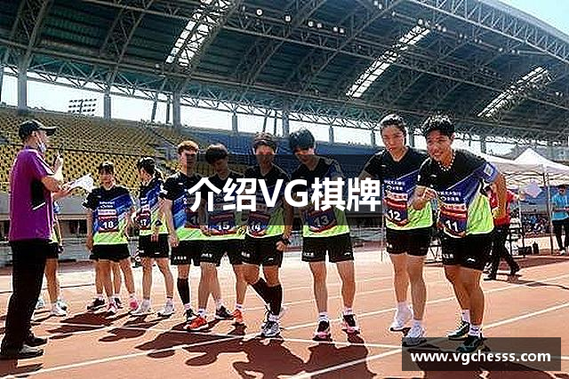 介绍VG棋牌